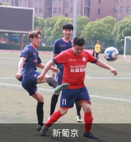 关于新葡京